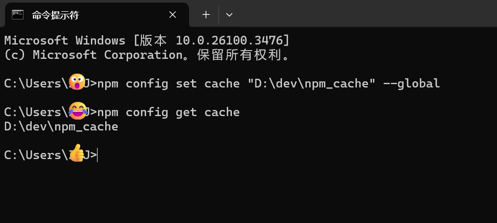 npm.png